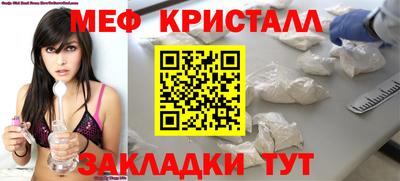 крисы Можга