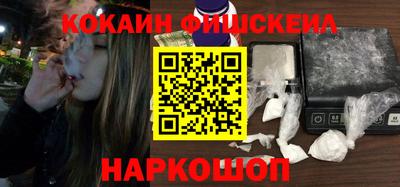 крисы Можга