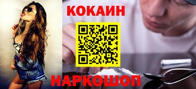 крисы Можга