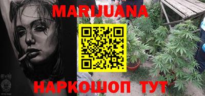 крисы Можга