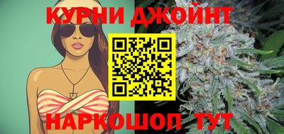 крисы Можга