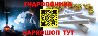 крисы Можга