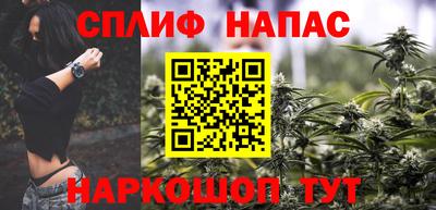 крисы Можга