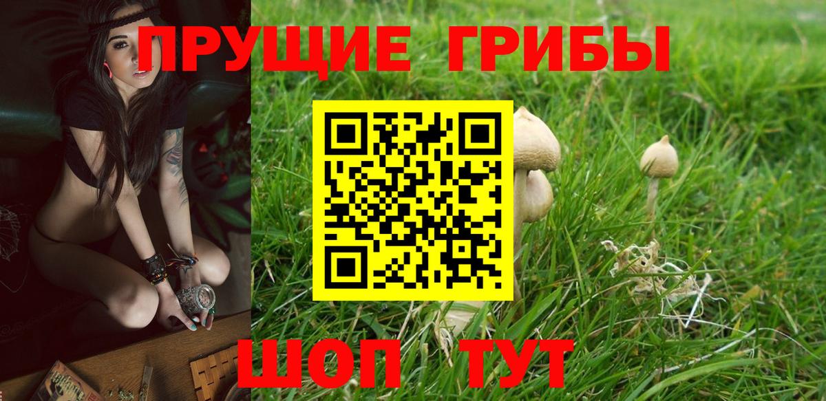 Галлюциногенные грибы мицелий Петровск
