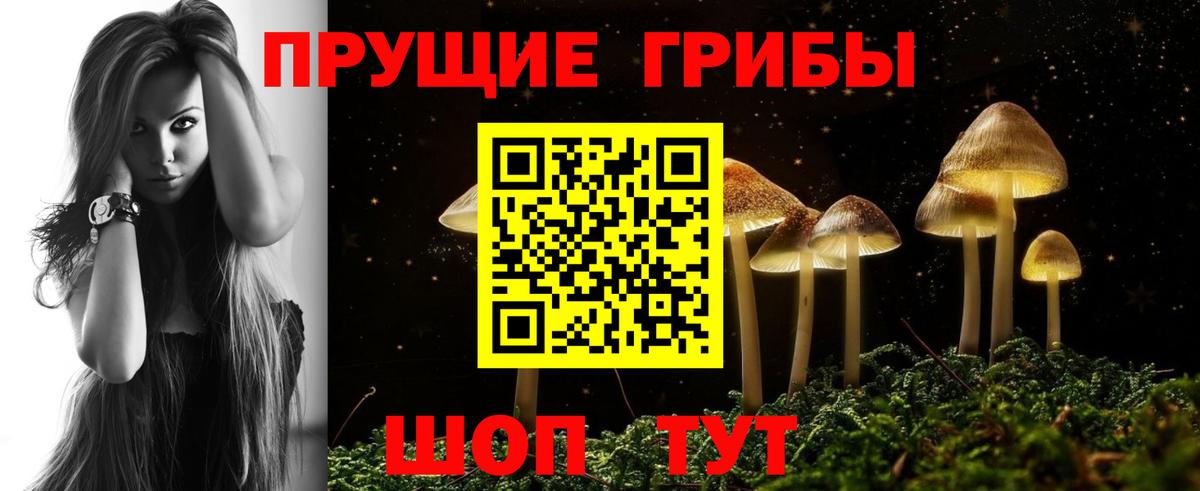 Петровск  Псилоцибиновые грибы мухоморы  закладка  Вход с VPN 